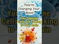 Your Immune Cells Are Talking to Your Brain — And They’re Changing Your Mood