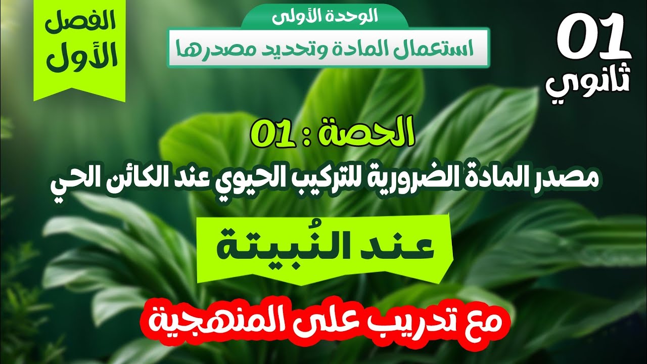 وأخيرااااا 🔥درس مصدر المادة للنمو عند النبيتة 👌🏻 الحصة 1✍🏼سنة اولى ثانوي مع تدريب على المنهجية