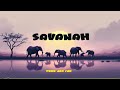 Bongo Amapiano X Bongo Fleva SAVANAH Bongo Amapiano X Bongo Fleva SAVANAH