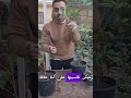 زراعة نبات الشفليرا الظل في دقيقة زراعة_الأسطح اشجار birds parrot نباتات plants mp3