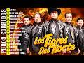 LOS TIGRES DEL NORTE MIX 2026 🎶 CORRIDOS Y NORTEÑAS VIEJITAS CANCIONES DE LOS TIGRES DEL NORTE