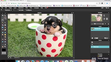 Creating Transparent Cutout PNG Files Using Pixlr