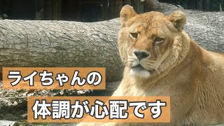 ライちゃんの体調が心配です