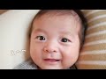 【生後1か月】赤ちゃんってふにふに【お母さんとおしゃべり】
