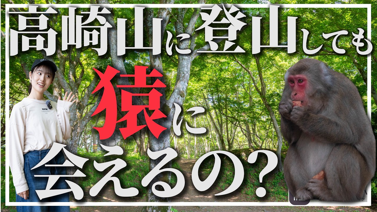 Testing] Can you really see the 