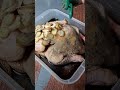 Why This Lechon Manok Looks Like It’s From a Street Vendor 🍗🔥