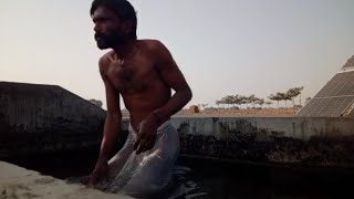 Good Tubewell Swimming In Village Village Tubewell Video Tubewell Swimming Pool Village