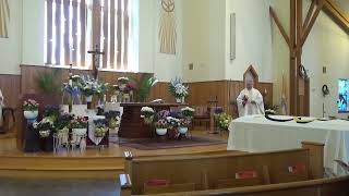 Funeral Mass Sr Rose Alfieri, May 16, 2026, St. Bernard Church