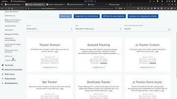 Add some Matomo code even without access to the source code with the  Js Tracker Custom plugin