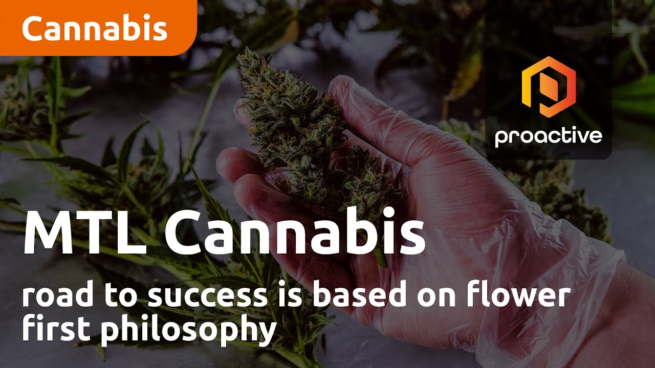 MTL Cannabis road to success is based on flower first philosophy