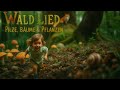 🌳 Wald Lied (Pilze, Bäume &amp; Pflanzen) – Michel und Freunde 🎵 Mp3 Song