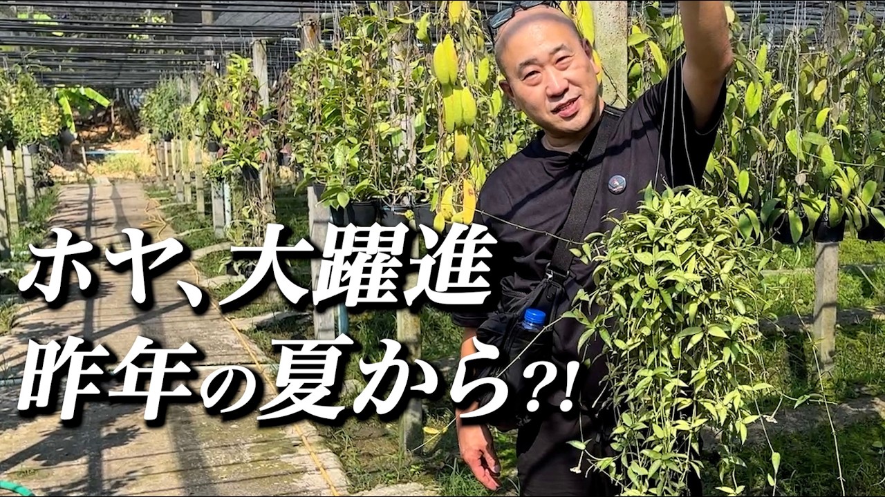 EP#027 ※重要なお知らせあり【衝撃】世界トップクラスのホヤ農場へ潜入 ~ 2026年 ホヤは躍進するか？ ~【アマゾンへ行こ〜】