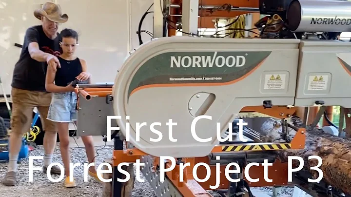 Forrest Project P3 - First Cut, How I Prevent Log ...