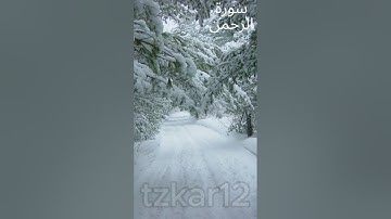 سورة الرحمن (كاملة) | القارئ اسلام صبحي