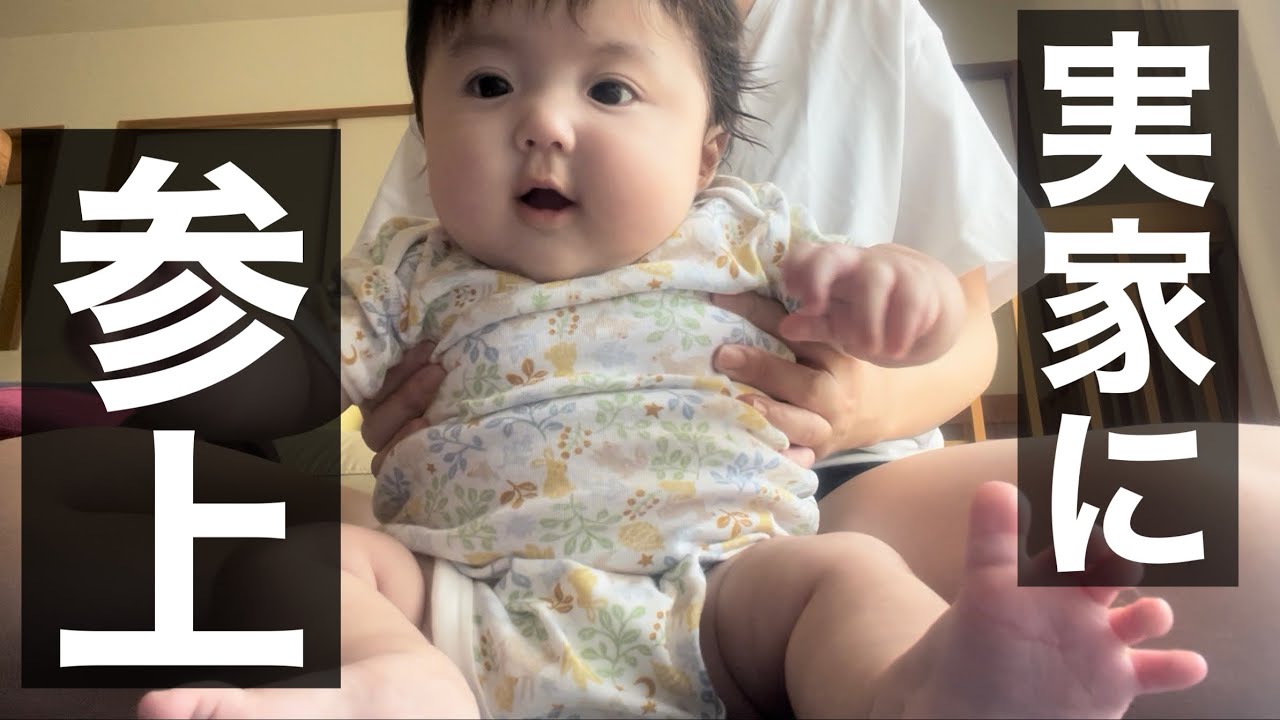 ママの幼少期のおもちゃを眺めるぱちくりちゃんが尊すぎました