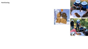 Soil samples processing