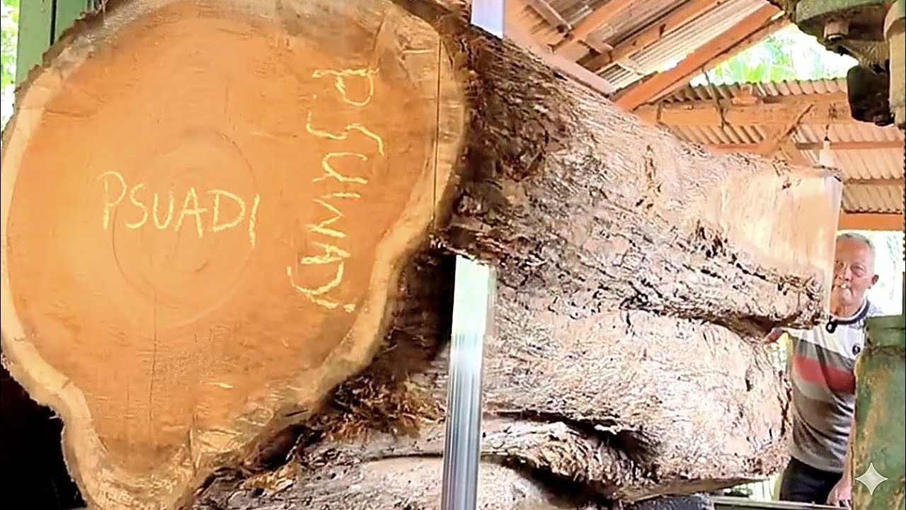 УЖАСНО!! Процесс превращения больших полых тиковых бревен в РОСКОШНЫЕ доски.