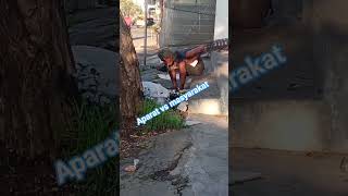 Download Lagu aparat vs masyarakat MP3