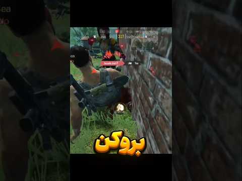 رفتن مشقاشونو بنویسن