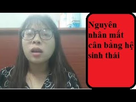 Video: Cân Bằng Sinh Thái Là Gì