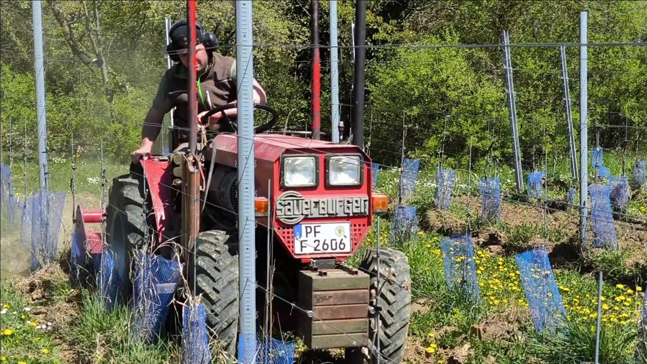 Sauerburger mit Schmalspurfräse im Weinberg