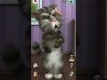 Talking Tom Cat 100 #shorts #funny #viral #talkingtom #shortsfeed #ytshorts #cat