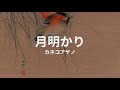 月明かり: カネコアヤノ tsukiakari: ayano kaneko (lyrics english translation)