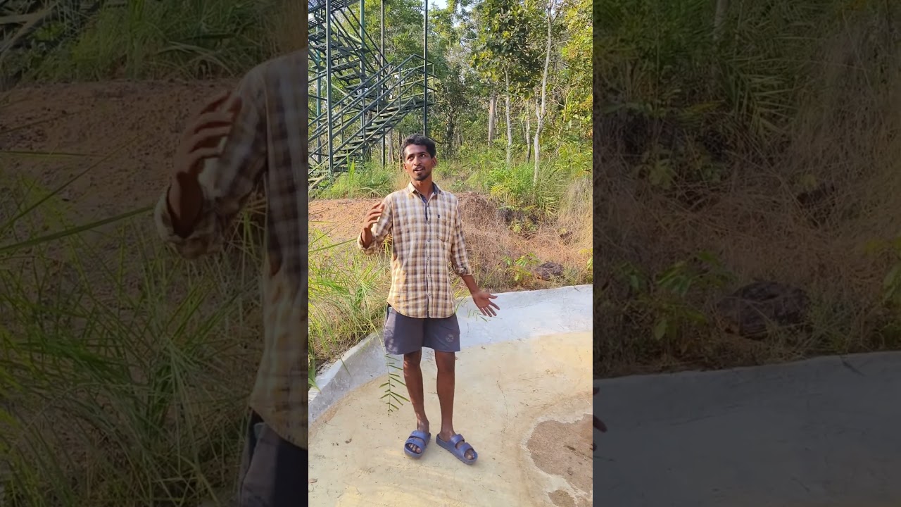 Animal's well ll forest officer's great move ll 