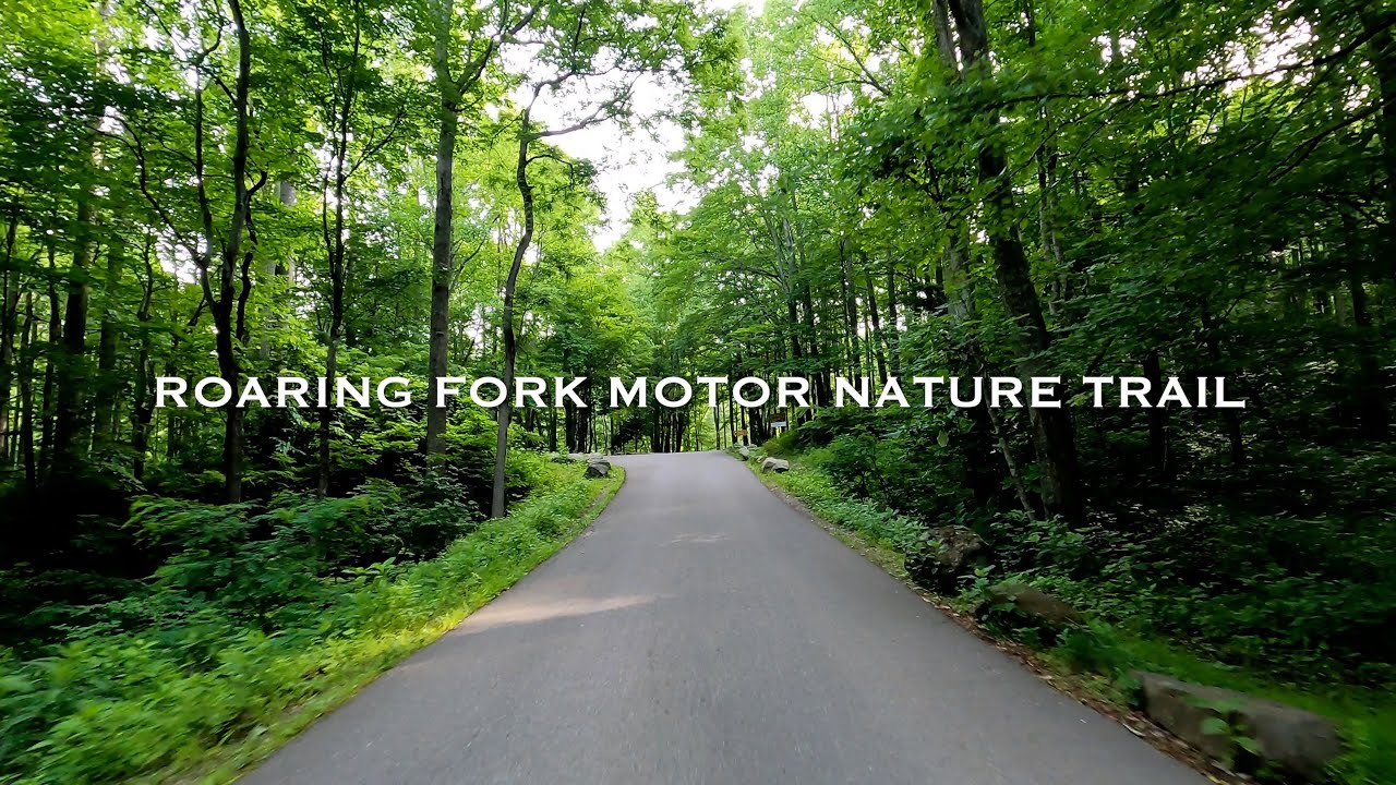 A Complete Ambient Drive Thru Roaring Fork Motor Nature Trail - Gatlinburg, Tennessee (Summer 2025)