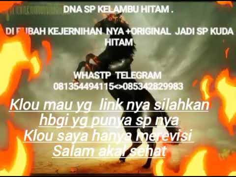 Ternyata  ini sp walet  kelambu  hitam yg  di hambur   gratis  sangatlah  kasar  untuk  SW walet