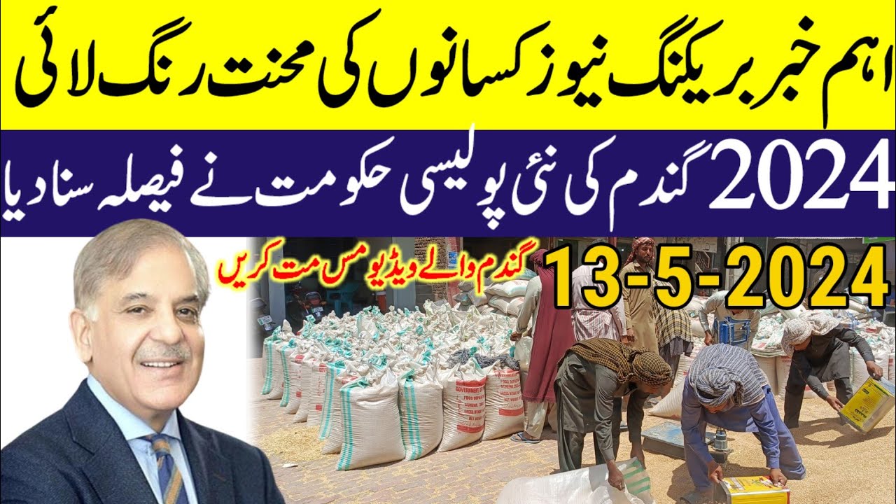 Wheat price in Pakistan 2024/wheat price in punjab 2024 gundam - YouTube