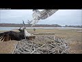 April 1, 2021 females at osprey webcam