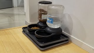 STOP ANTS from getting to your food permanently for $20 in 20 minutes.