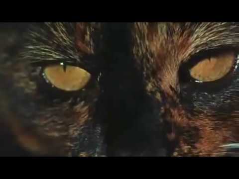 Torture Garden (1967) TRAILER