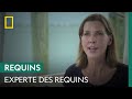 Ref:ISP8MUvMPkw Depuis plus de 10 ans, tanya houppermans d�die sa vie aux requins