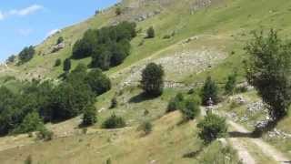 Lola planina - KTM 350 freeride MonteGuide tours