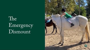 Kids Learn to Fall Off a Horse Safely - The Emergency Dismount
