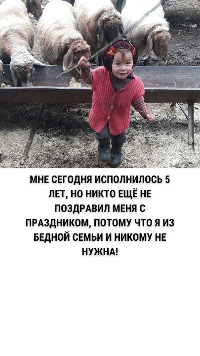Никто ещё не поздравил меня с праздником, потому что я из бедной семьи ...