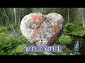 Nature Poem - Wild Soul  / HD / English