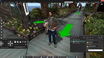 Creation of Newavion, homeless, in Second Life