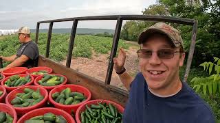 Big Problems For The Veggie Boys!
