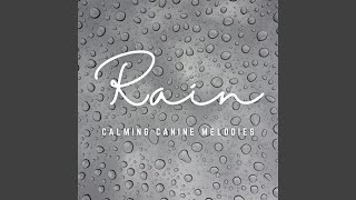 Harmony of Rain Paws