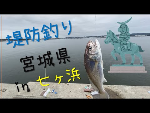 宮城県 姉弟妹の3人で防波堤で投げ釣りしたら4種類釣れた 投げ釣り 初心者 Youtube 宮城県 姉弟妹の3人で防波堤で投げ釣りしたら4種類釣れた 投げ釣り 初心者 Youtube
