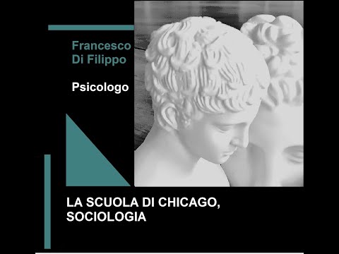 Video: Chi è il deputato di Chicago?