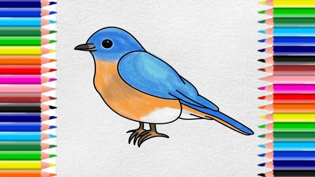 How to draw a bird's bird's drawing step by step easy drawing YouTube