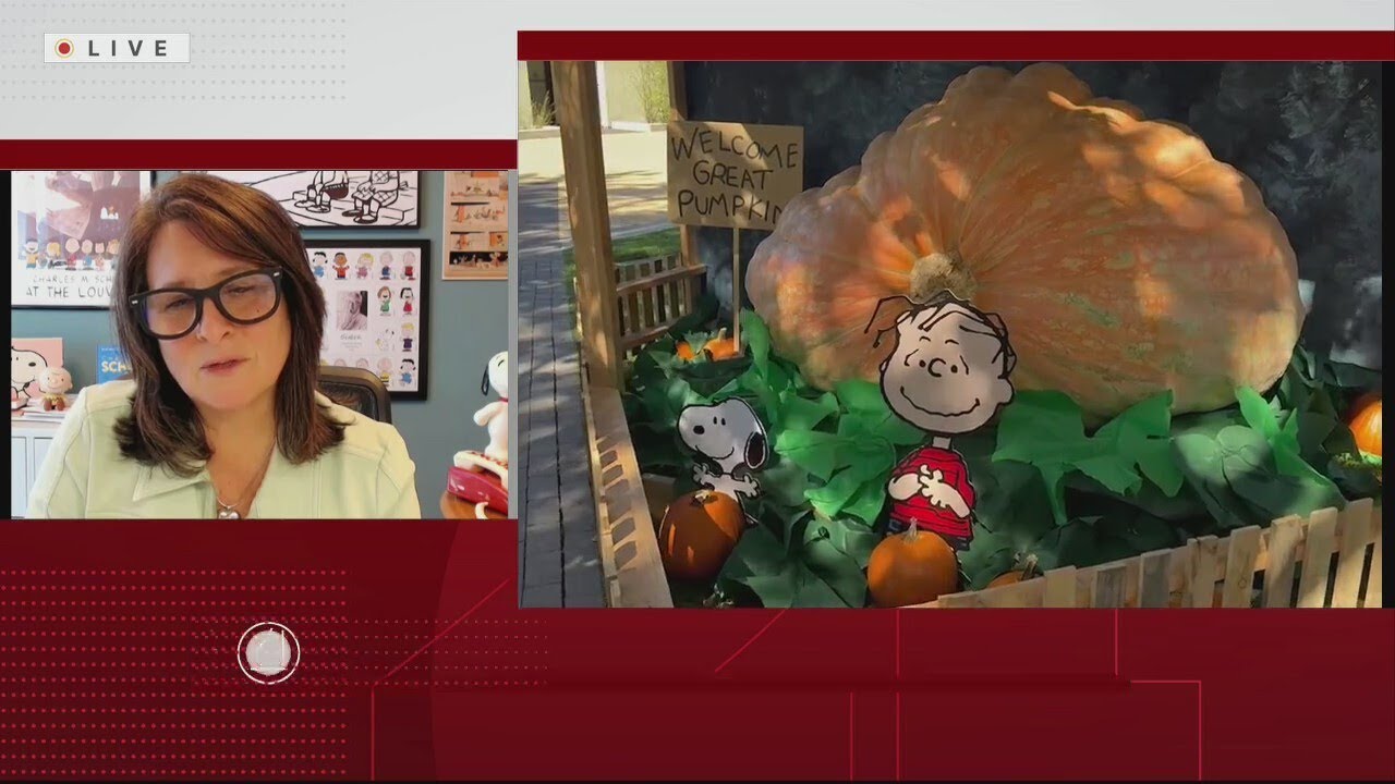Santa Rosa museum welcomes 2,301-pound pumpkin - YouTube