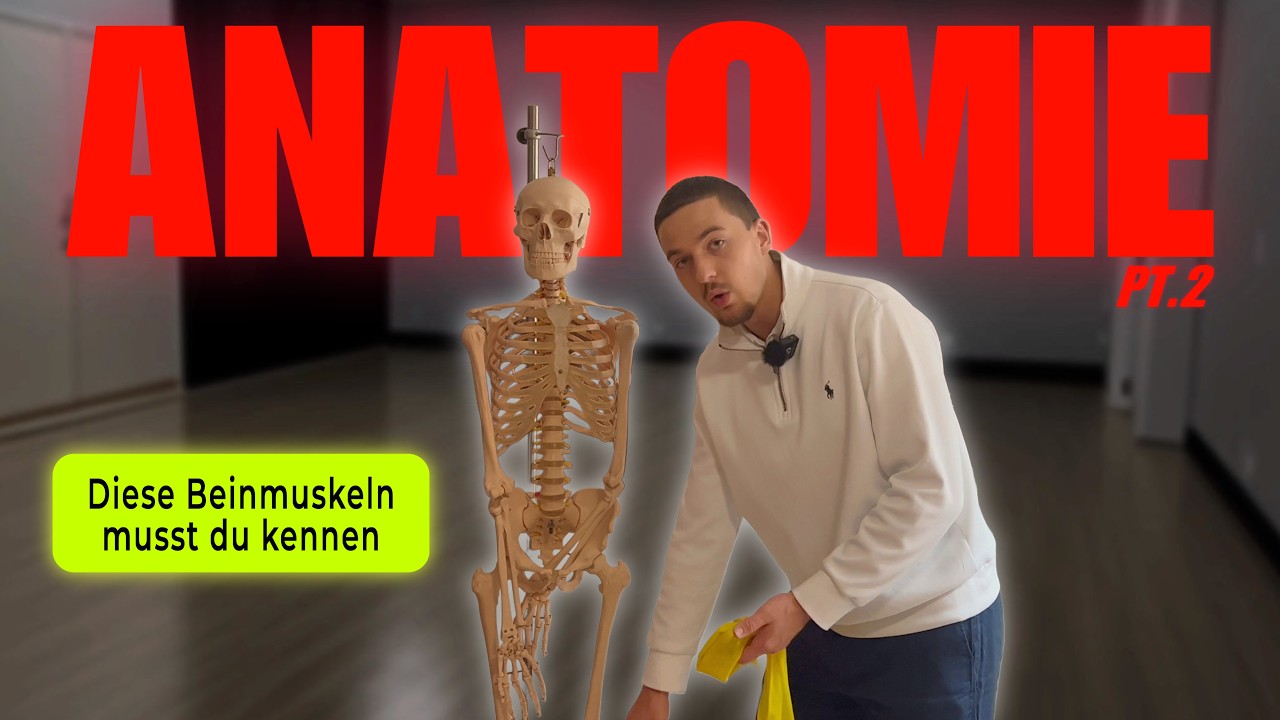 2/3 | Die trainingsbezogene Anatomie der Beine