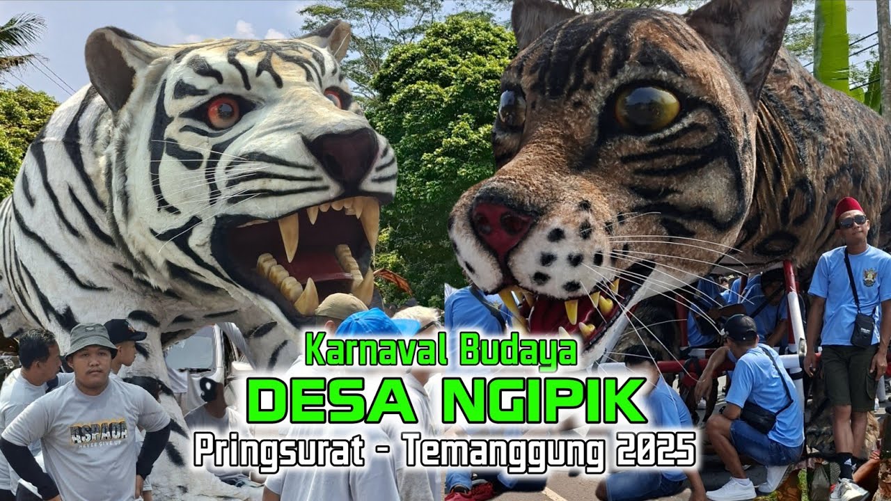 KARNAVAL DESA NGIPIK  PRINGSURAT TEMANGGUNG 24 AGUSTUS 2025