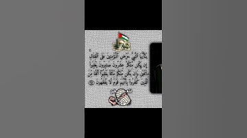 تلاوة من سورة الأنفال للشيخ ياسر الدوسري #قرآن #اجر_لي_ولك #فلسطين #ياسر_الدوسري #yasseraldossary