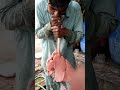 lungs testing |animal lungs test |how lungs work #viral #lungs #health#goat #lungs #goatlungsinsight